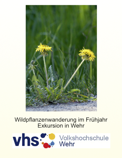 Selbstversorgung mit Wildpflanzen im Frühjahr